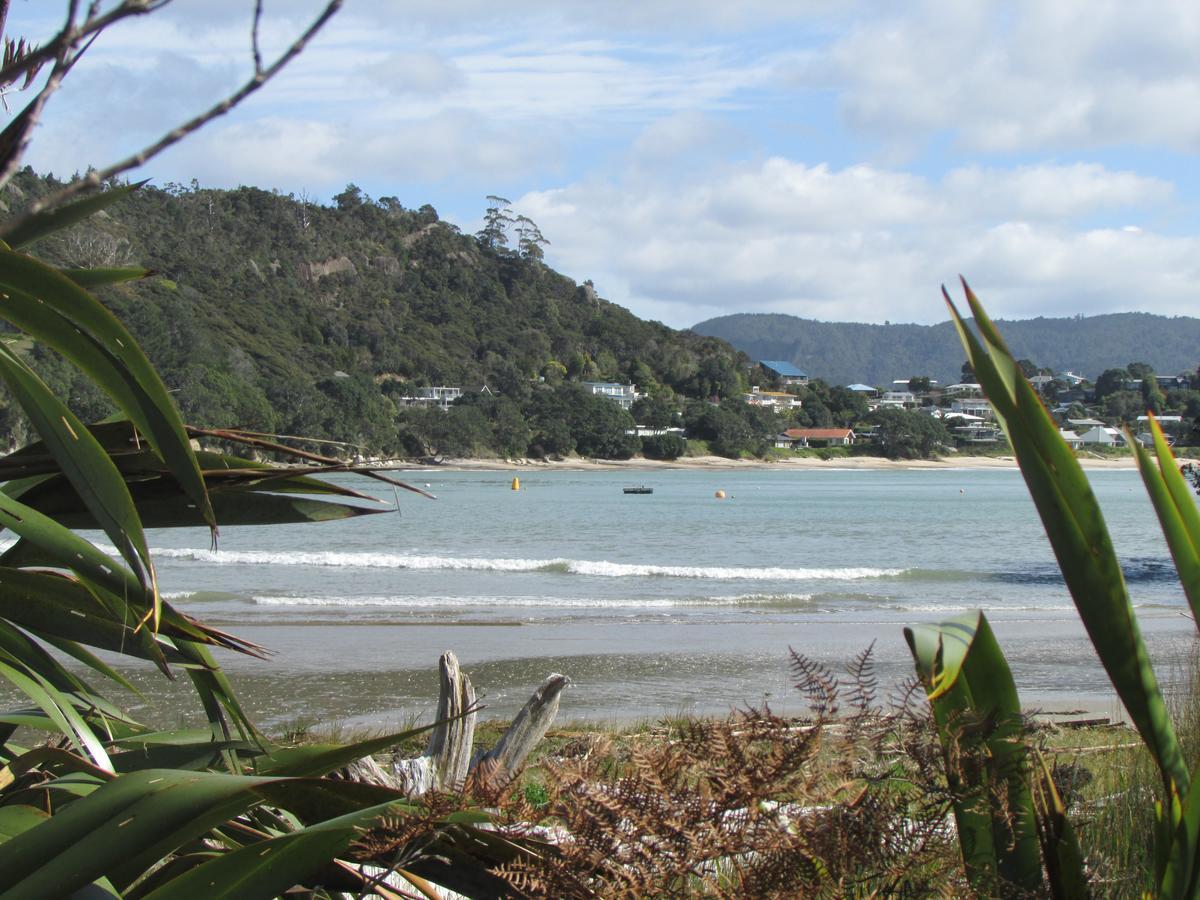 Flaxmill Cove B&B Whitianga Exterior photo