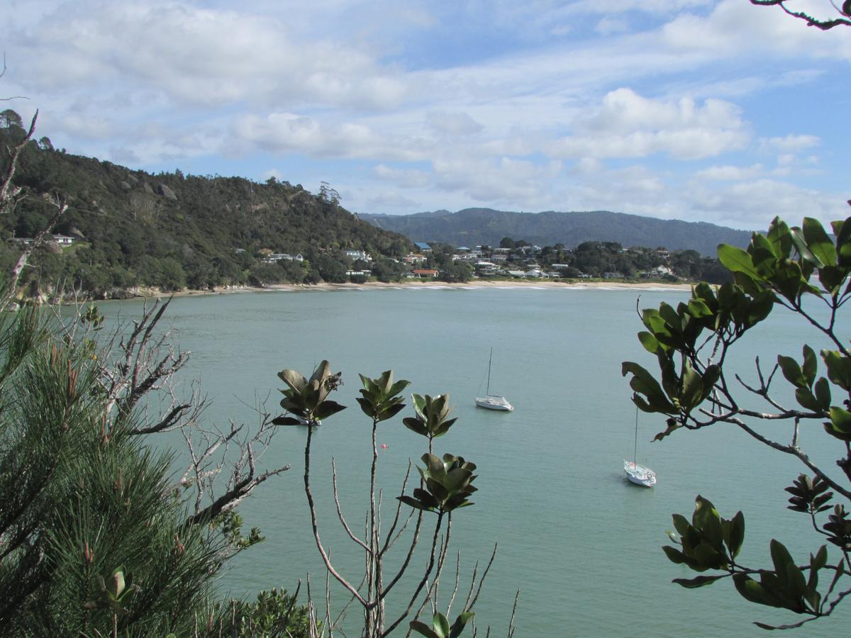 Flaxmill Cove B&B Whitianga Exterior photo