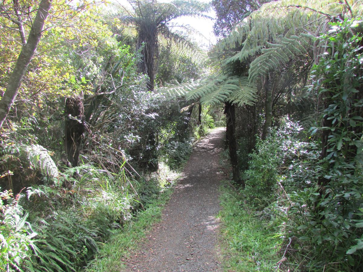 Flaxmill Cove B&B Whitianga Exterior photo